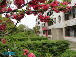 武汉市江夏区山坡中学